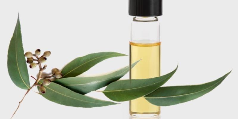 Cải thiện hơi thở nặng mùi và sức khỏe răng miệng