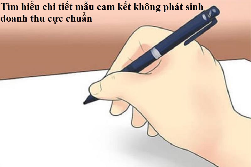 Nội dung mẫu cam kết không phát sinh doanh thu