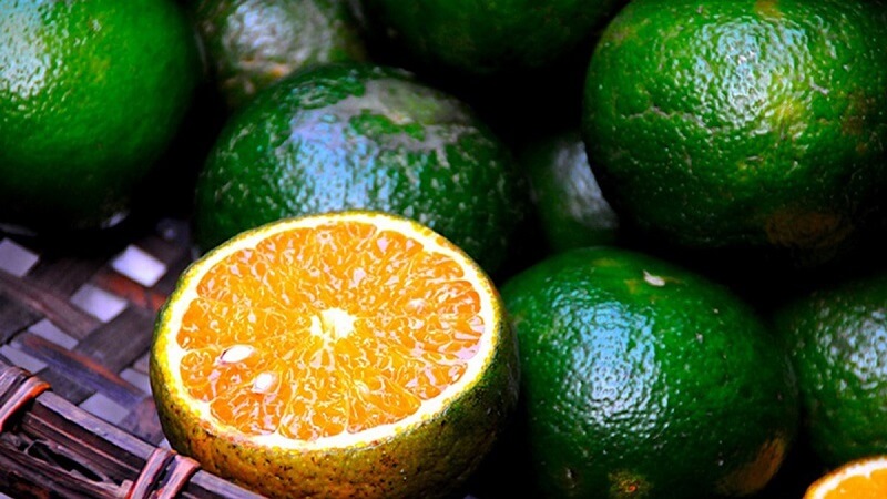 Thông tin cam mật là gì