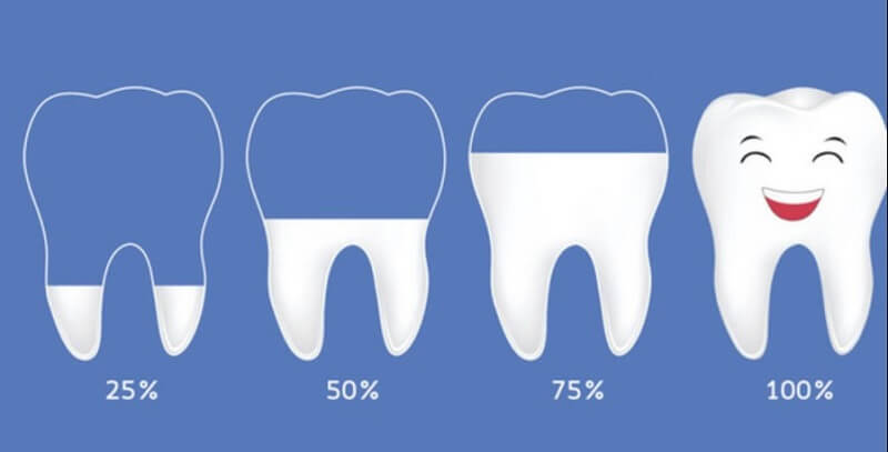 Khám phá tác dụng của canxi đối với hệ xương và răng