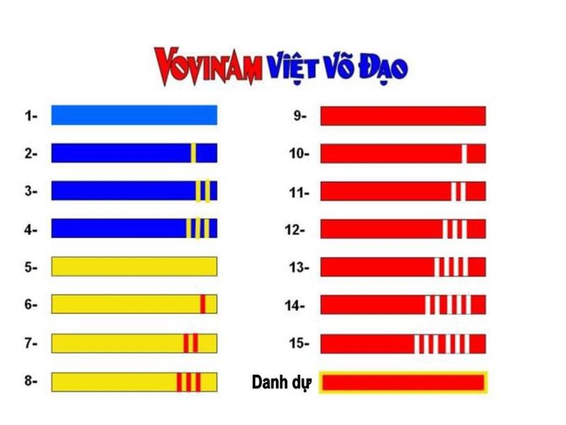 Lam đai trong võ thuật Vovinam