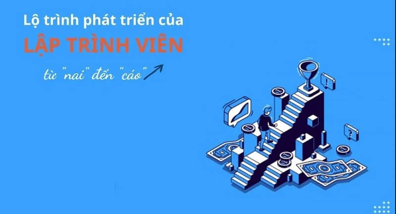 Lập trình viên có con đường thăng tiến rất rộng mở