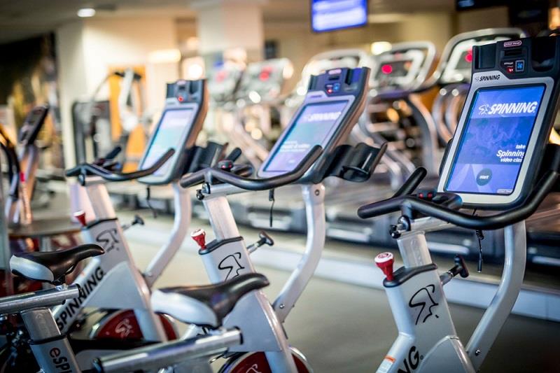 Bố cục CV mẫu cơ bản