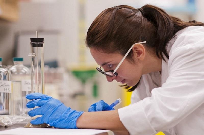 Nội dung không thể thiếu trong trường môi trường CV mẫu