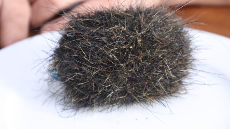 Cát lợn là gì có tác dụng gì