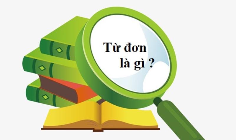 Từ đơn là gì