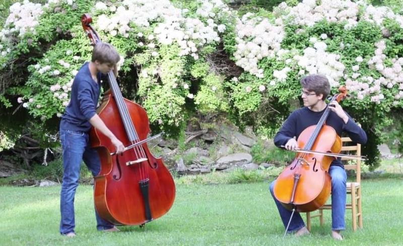 Cello dùng để bè trầm cho dàn nhạc giao hưởng