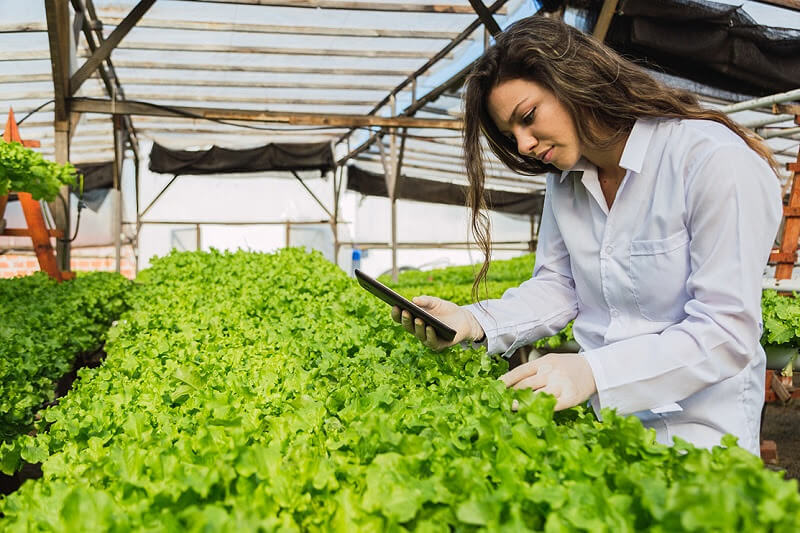 Chăm sóc cây trồng, vật nuôi