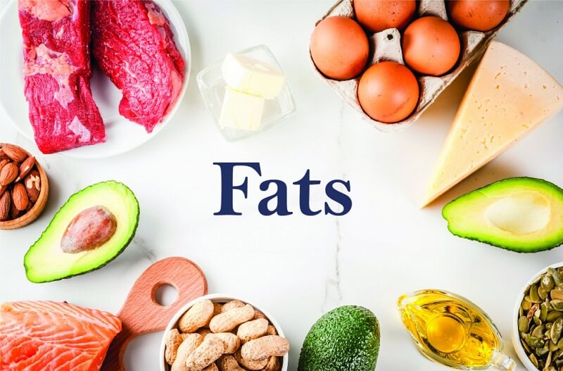 Hiểu rõ khái niệm chất béo