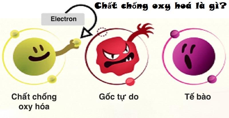 Chất chống oxy hóa là gì