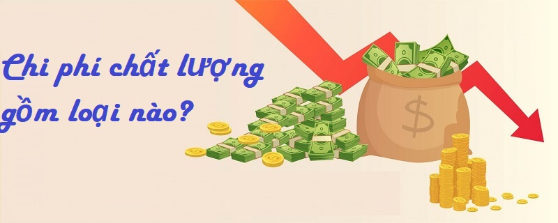 Chi phí chất lượng gồm loại nào