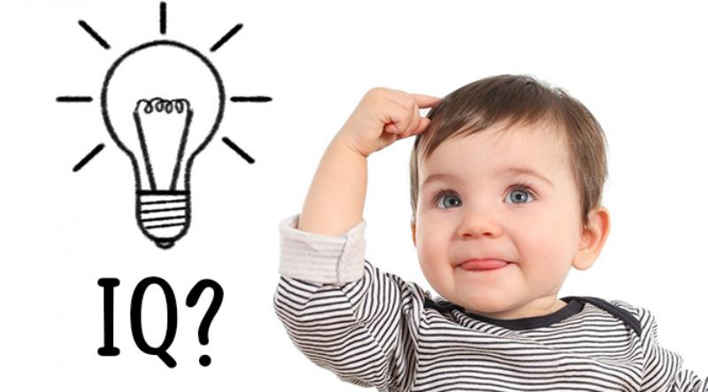 Chỉ số IQ cao nhất là bao nhiêu