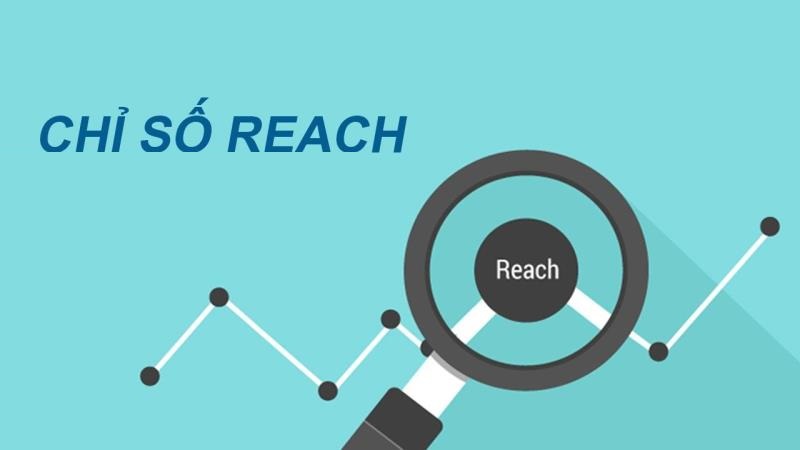 Reach là gì