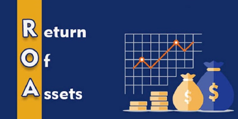 Chỉ số ROA phản ánh tổng quan hiệu quả kinh doanh