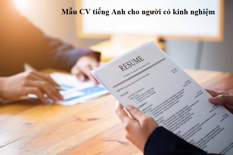 Mẫu CV tiếng Anh cho người có kinh nghiệm