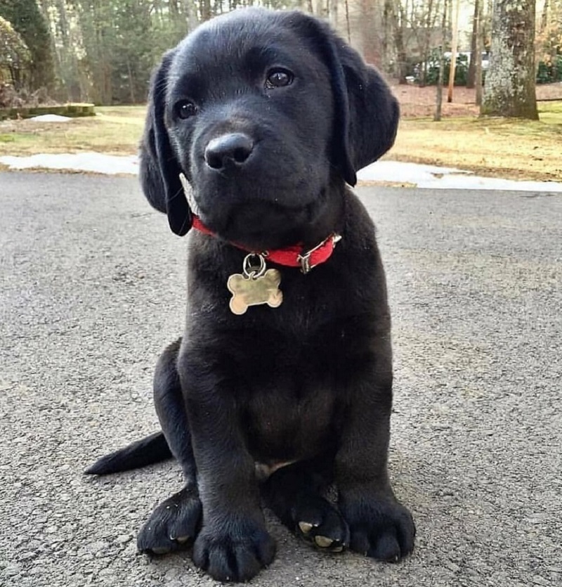 ​Huấn luyện dễ dàng hơn