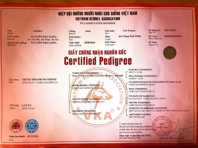 Chó thuần chủng và chó phả hệ