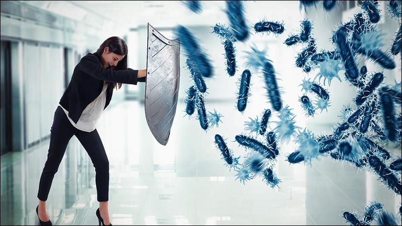 Mùi tây chống viêm và kháng khuẩn hiệu quả