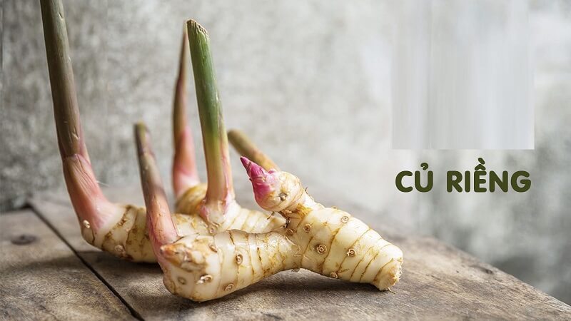 Riềng có thể điều chế thuốc chữa đau bụng do nhiễm lạnh
