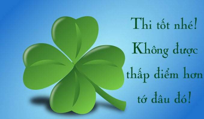 Cỏ bốn lá giúp bạn may mắn trong học tập