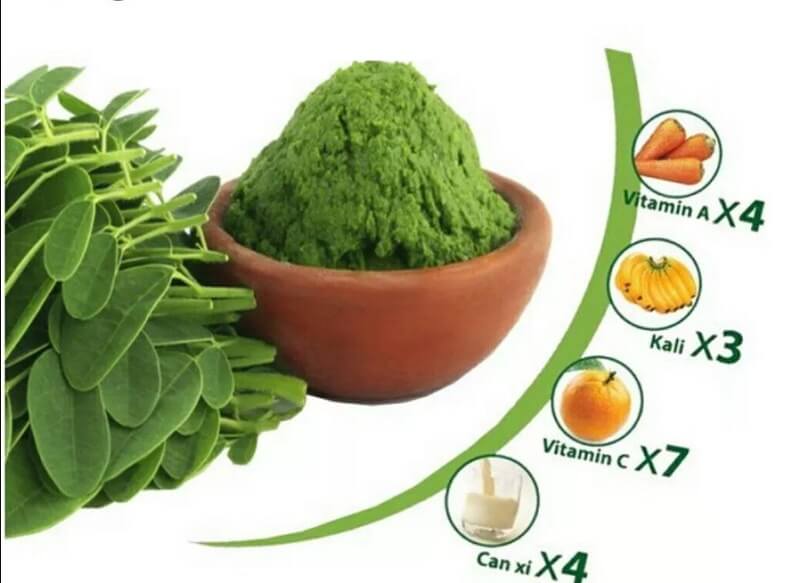 Giá trị dinh dưỡng trong rau chùm ngây