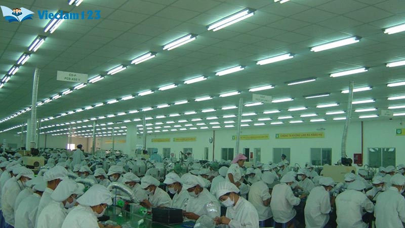 Chứng chỉ lao động phổ thông là yếu tố quan trọng trong CV lao động phổ thông