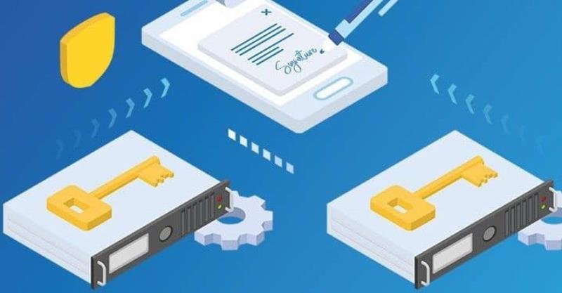 Chứng thư số cá nhân thuộc doanh nghiệp hay tổ chức