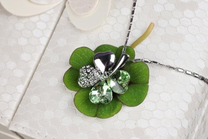 Cỏ ba lá có ý nghĩa gì