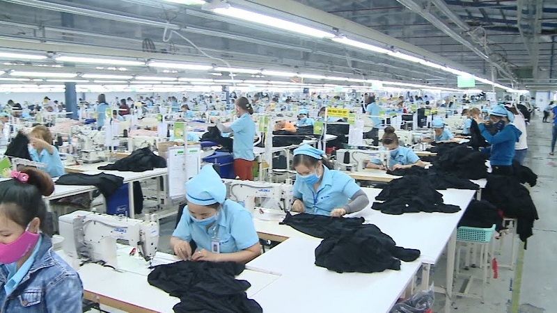 Cơ hội việc làm