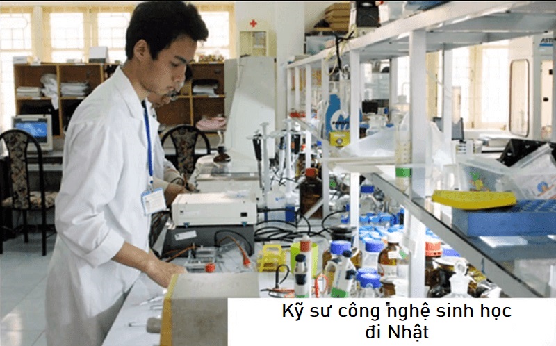 Thông tin chi tiết về việc làm kỹ sự công nghệ sinh học đi Nhật làm việc