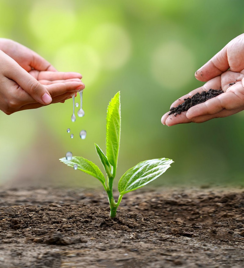 Có lợi ích về môi trường