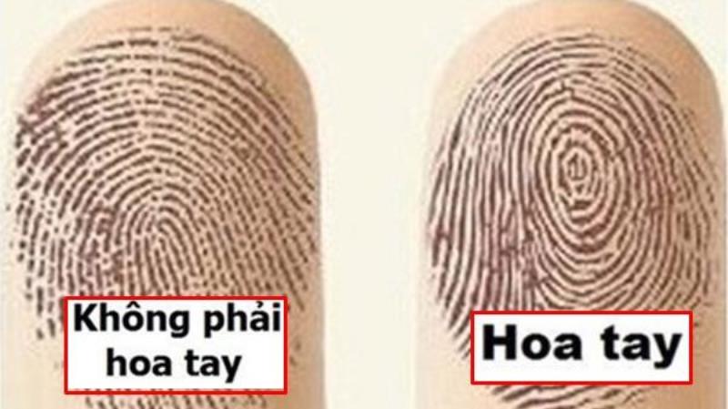 Có nên dựa vào hoa tay mà hưởng an nhàn