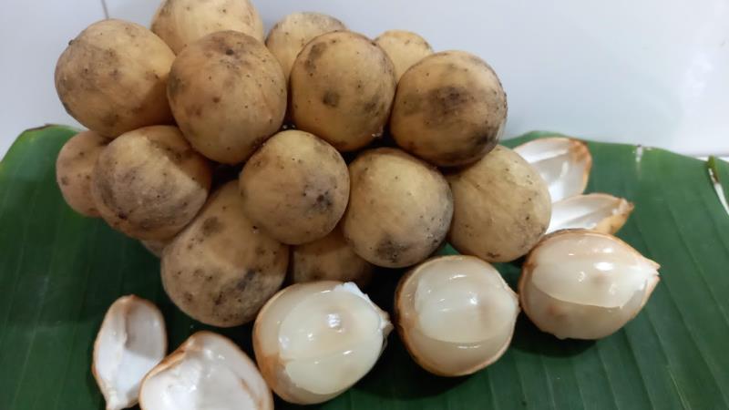 Bòn bon ngăn ngừa bệnh tiểu đường và chứa nhiều vitamin B