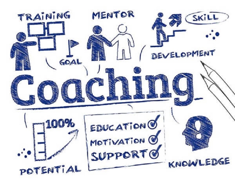 Coach xuất hiện trong lĩnh vực nào
