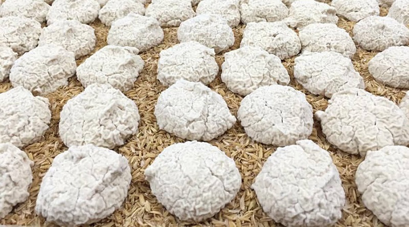 Tỷ lệ say cơm rượu thấp