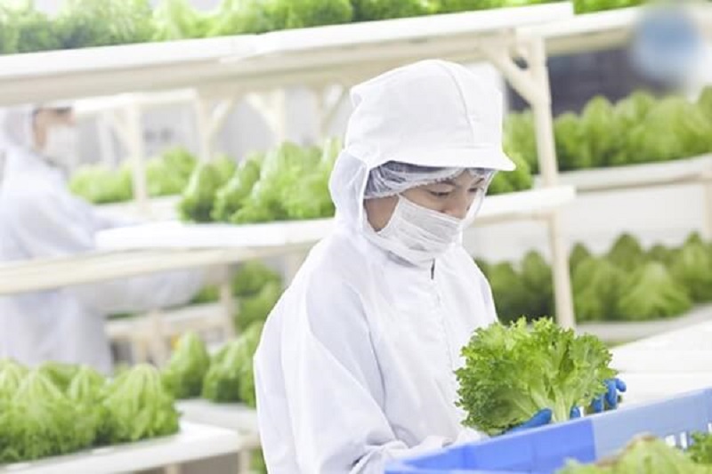 Ngành học Công nghệ sinh học 