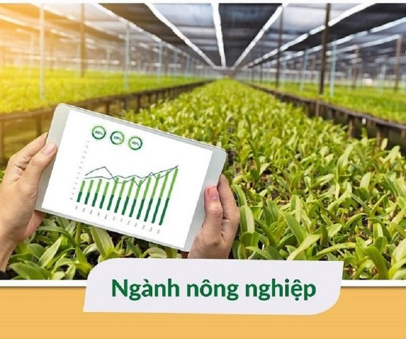 Ngành nông- lâm- ngư- nghiệp 