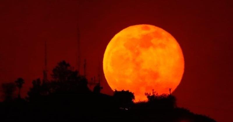 Chu kỳ nghỉ ngơi và thức dậy của con người bị ảnh hưởng khi có Nguyệt thực