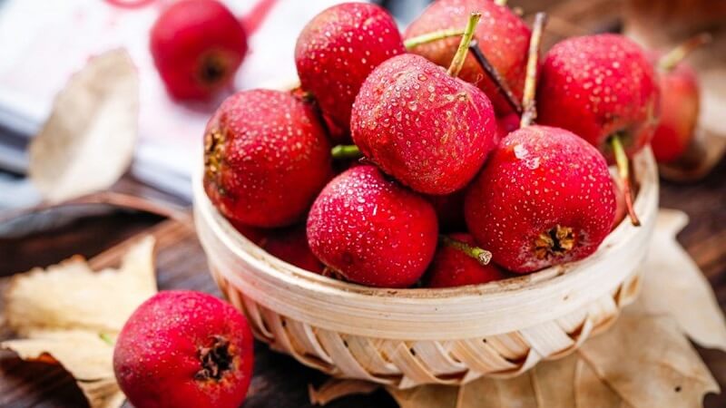 Quả sơn tra có nhiều tác dụng đối với sức khỏe