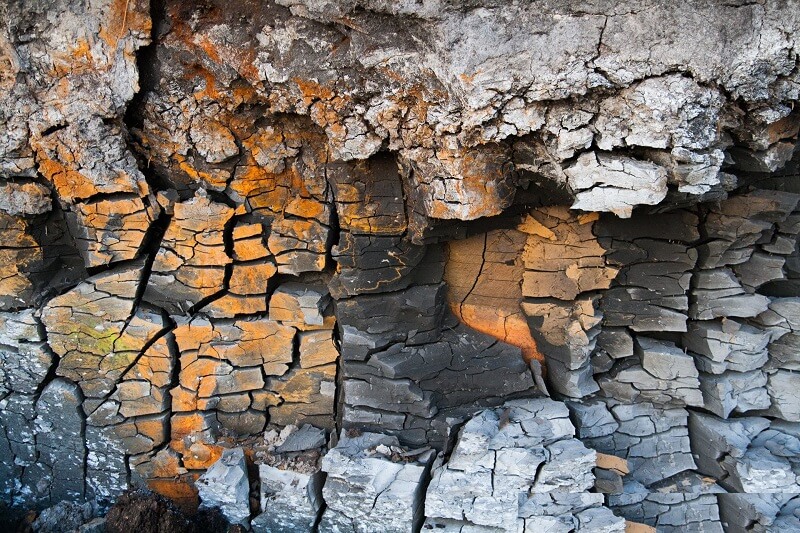 Công dụng của Texture