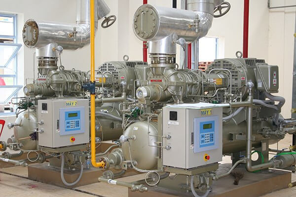 Cơ hội nghề nghiệp trong ngành