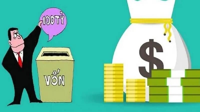 Nhà nước sở hữu môt phần vốn điều lệ