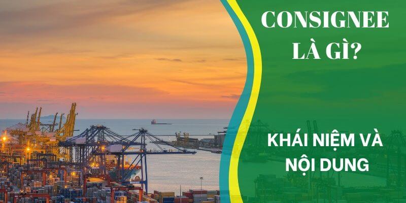 Consignee là gì