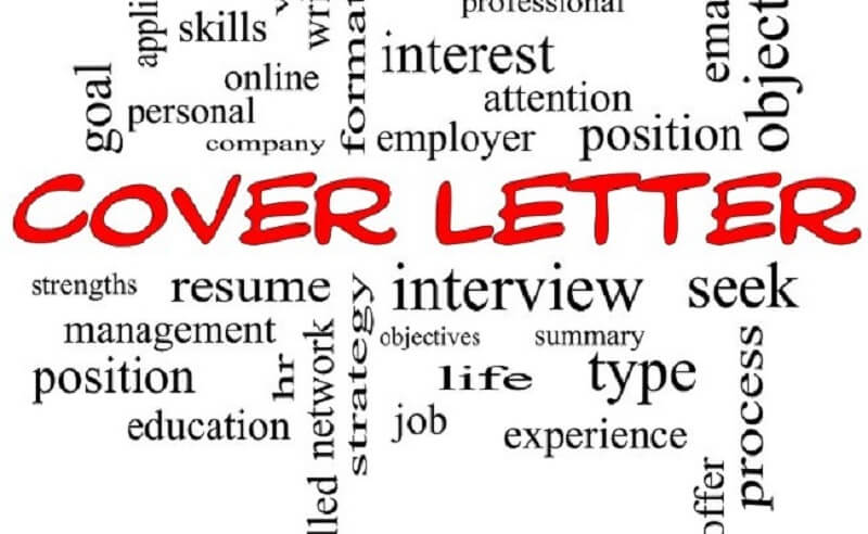 Nội dung chính của một Cover letter mẫu
