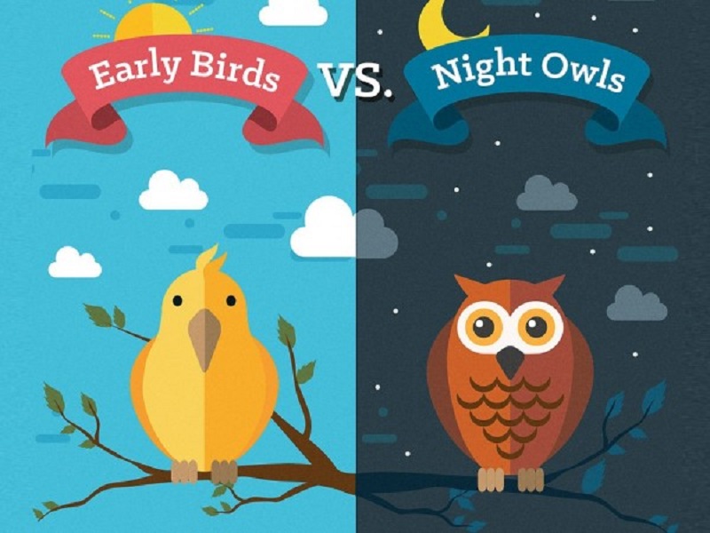 Nên làm chim sâu hay cú đêm