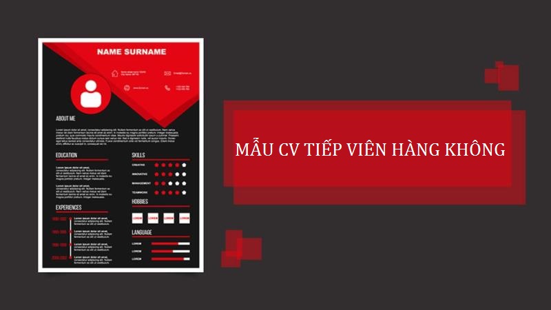 Bí quyết giúp mẫu CV xin việc làm tiếp viên hàng không thuyết phục
