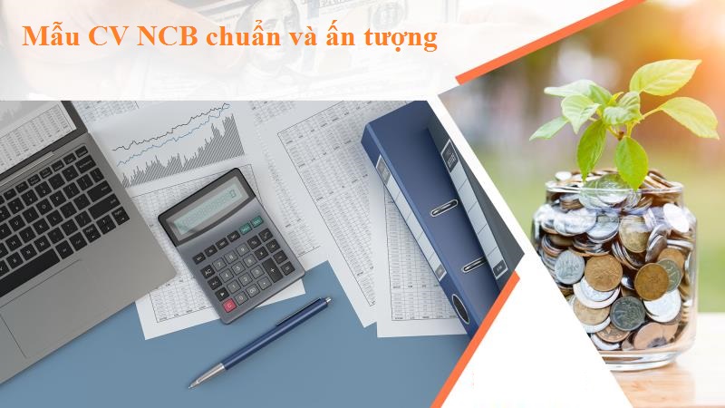 Quá trình học tập và đào tạo trong CV NCB