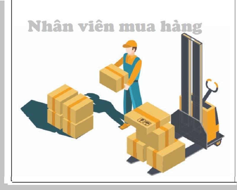 CV nhân viên mua hàng bằng tiếng Anh