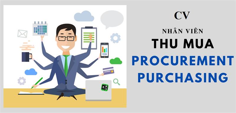 Mẫu CV nhân viên mua hàng dành cho người chưa có kinh nghiệm