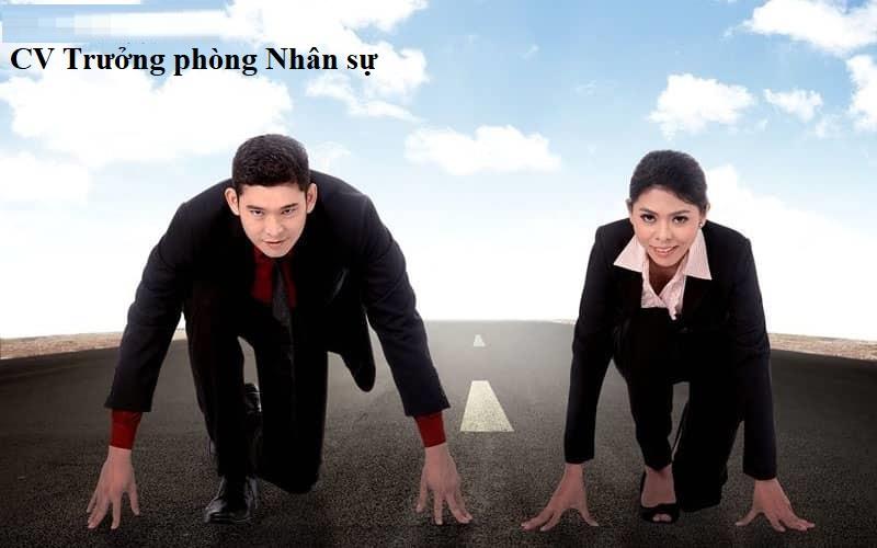 Vai trò đặc biệt của CV Trưởng phòng Nhân sự